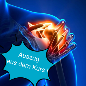 Alexander Dassel:<br/> Schulter | Biomechanik, Testung, Therapie ** Auszug **
